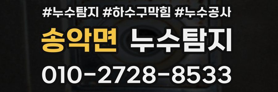 송악면 누수탐지업체