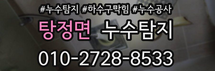 탕정면 누수탐지업체
