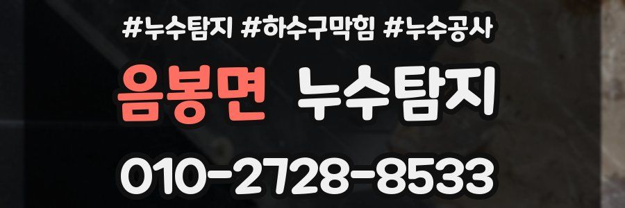 음봉면 누수탐지업체