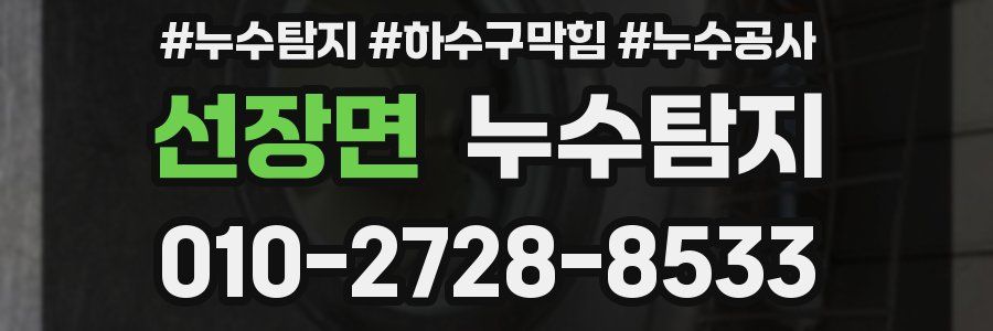 선장면 누수탐지업체