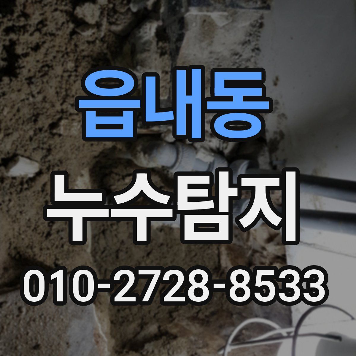 읍내동 누수탐지