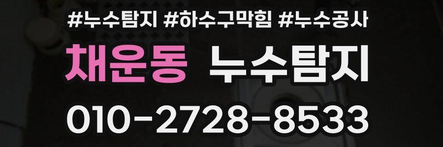 채운동 누수탐지업체