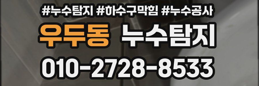 우두동 누수탐지업체