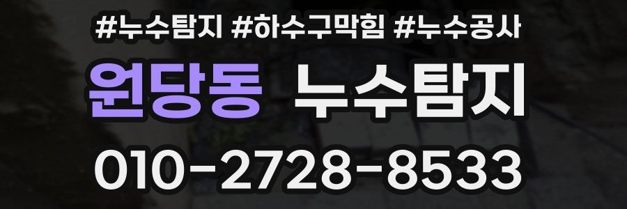 원당동 누수탐지업체