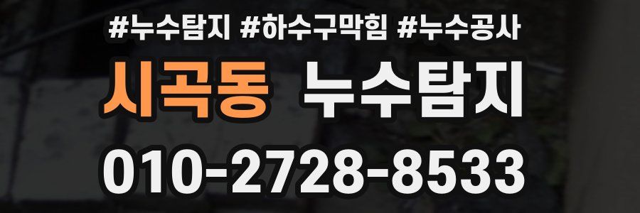 시곡동 누수탐지업체