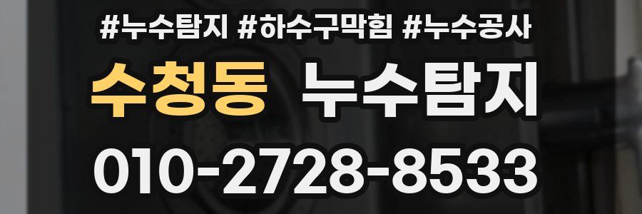 수청동 누수탐지업체