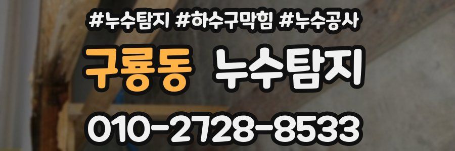 구룡동 누수탐지업체