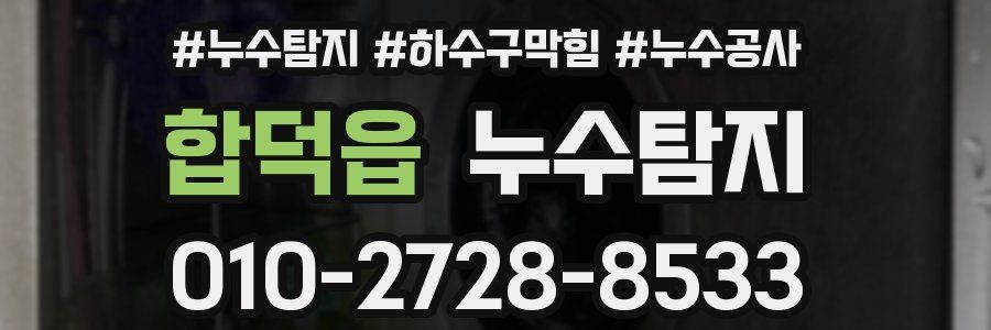 합덕읍 누수탐지업체