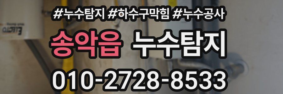 송악읍 누수탐지업체