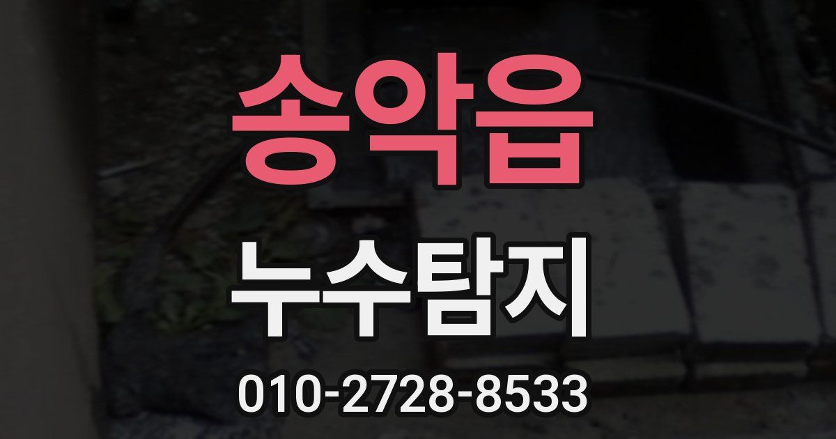 송악읍 누수공사