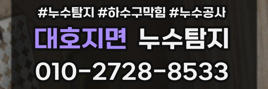 대호지면 누수탐지업체