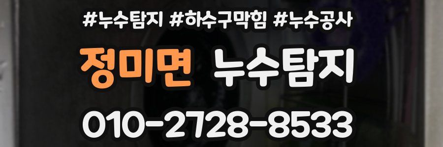 정미면 누수탐지업체
