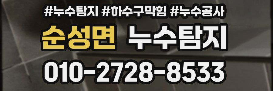 순성면 누수탐지업체