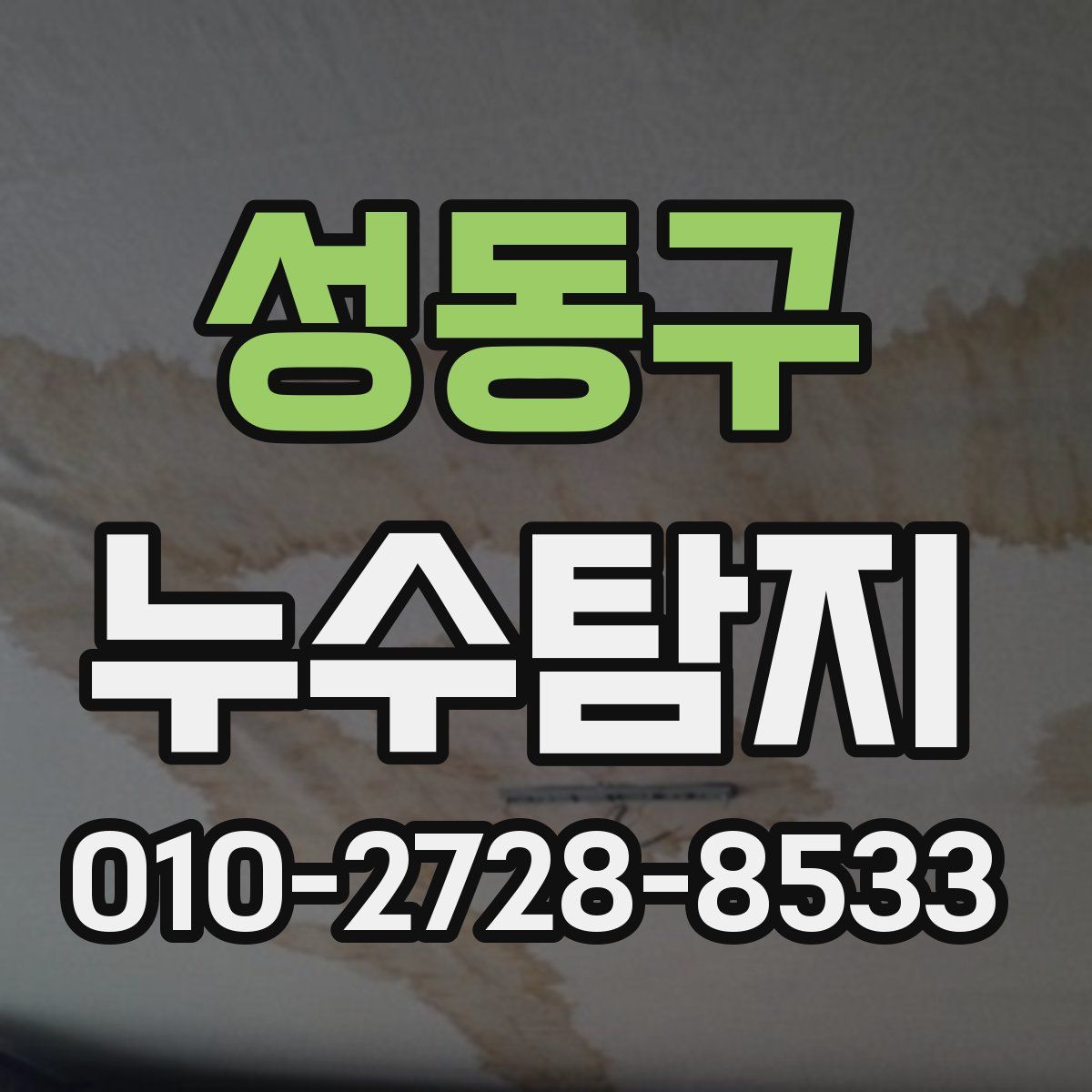 성동구 누수탐지