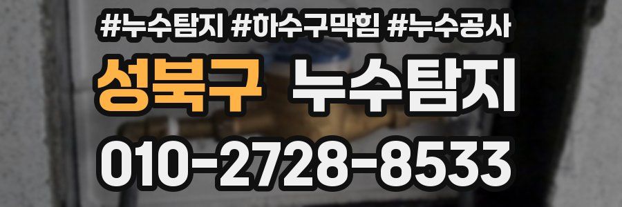 성북구 누수탐지업체