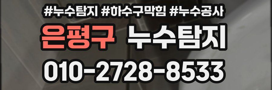 은평구 누수탐지업체
