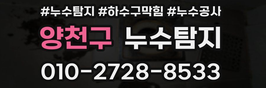 양천구 누수탐지업체