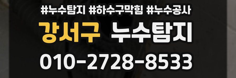 강서구 누수탐지업체