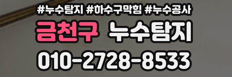 금천구 누수탐지업체