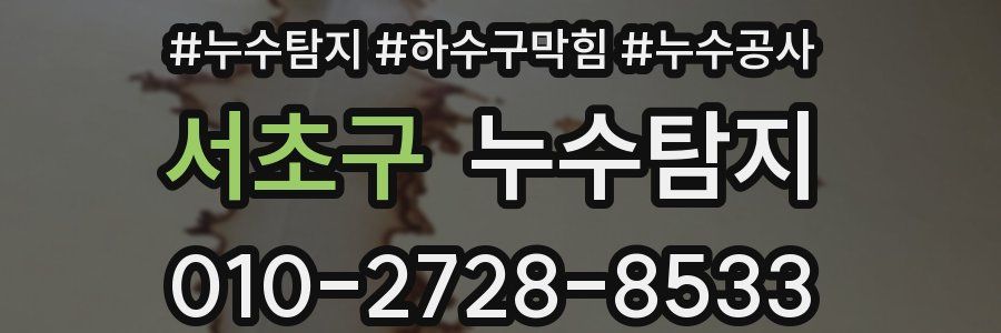 서초구 누수탐지업체