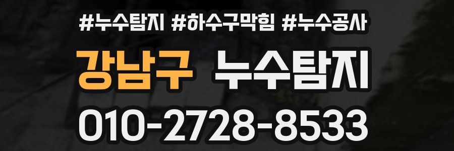 강남구 누수탐지업체
