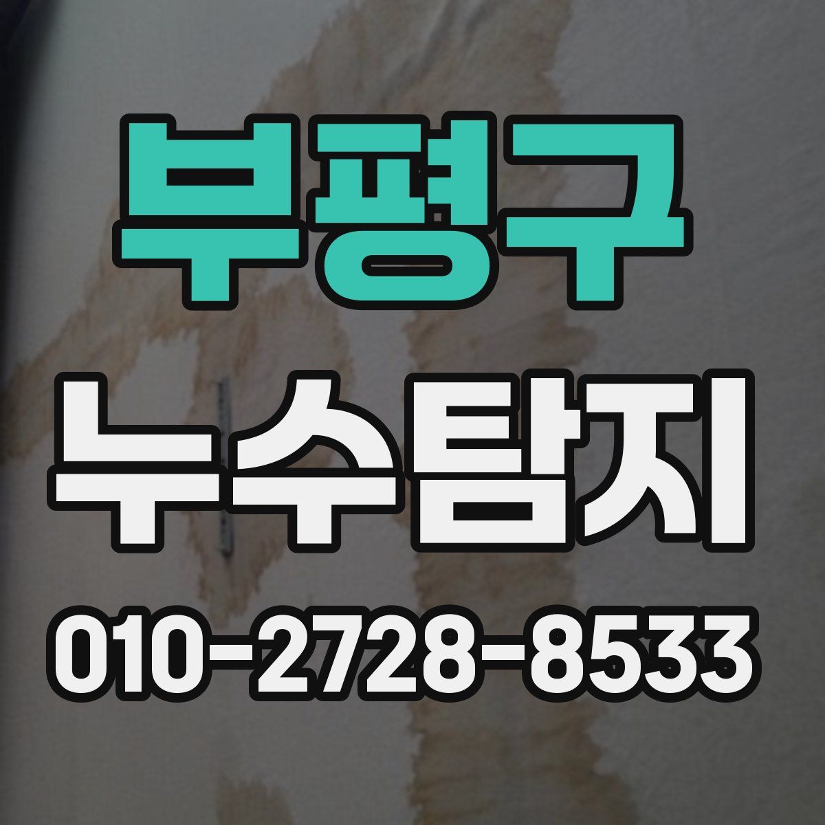 부평구 누수탐지