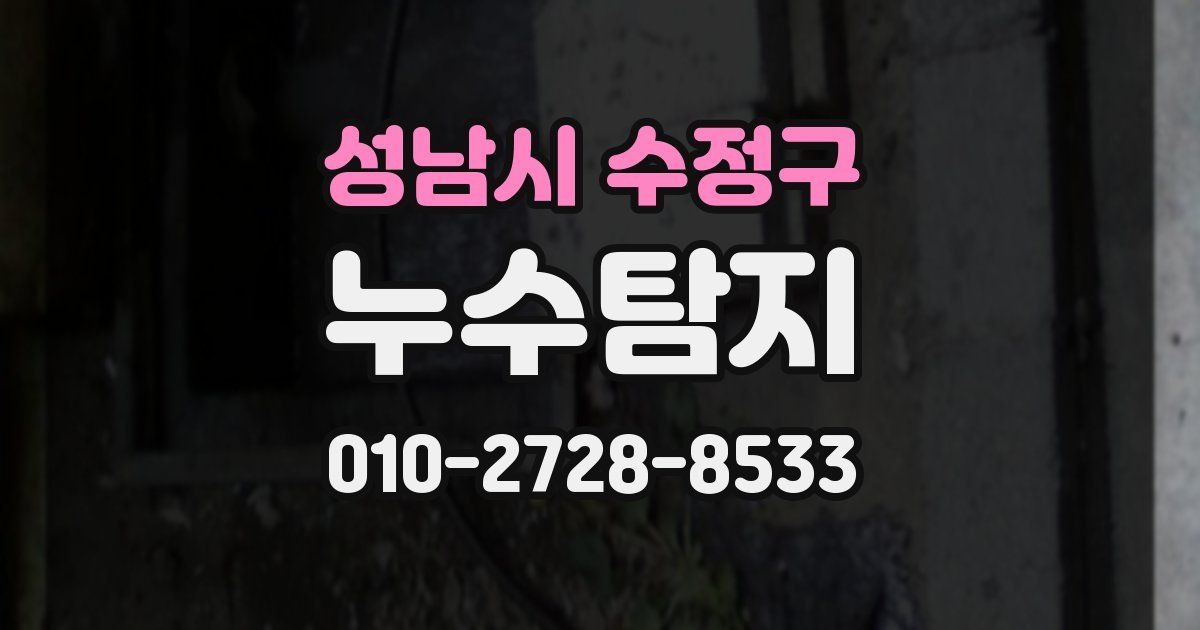 성남시 수정구 누수공사