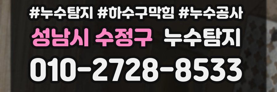 성남시 수정구 누수탐지업체