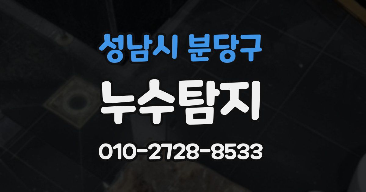 성남시 분당구 누수공사