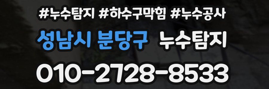 성남시 분당구 누수탐지업체