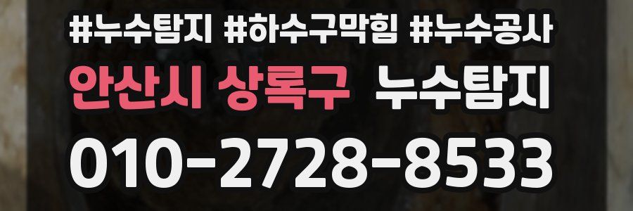 안산시 상록구 누수탐지업체