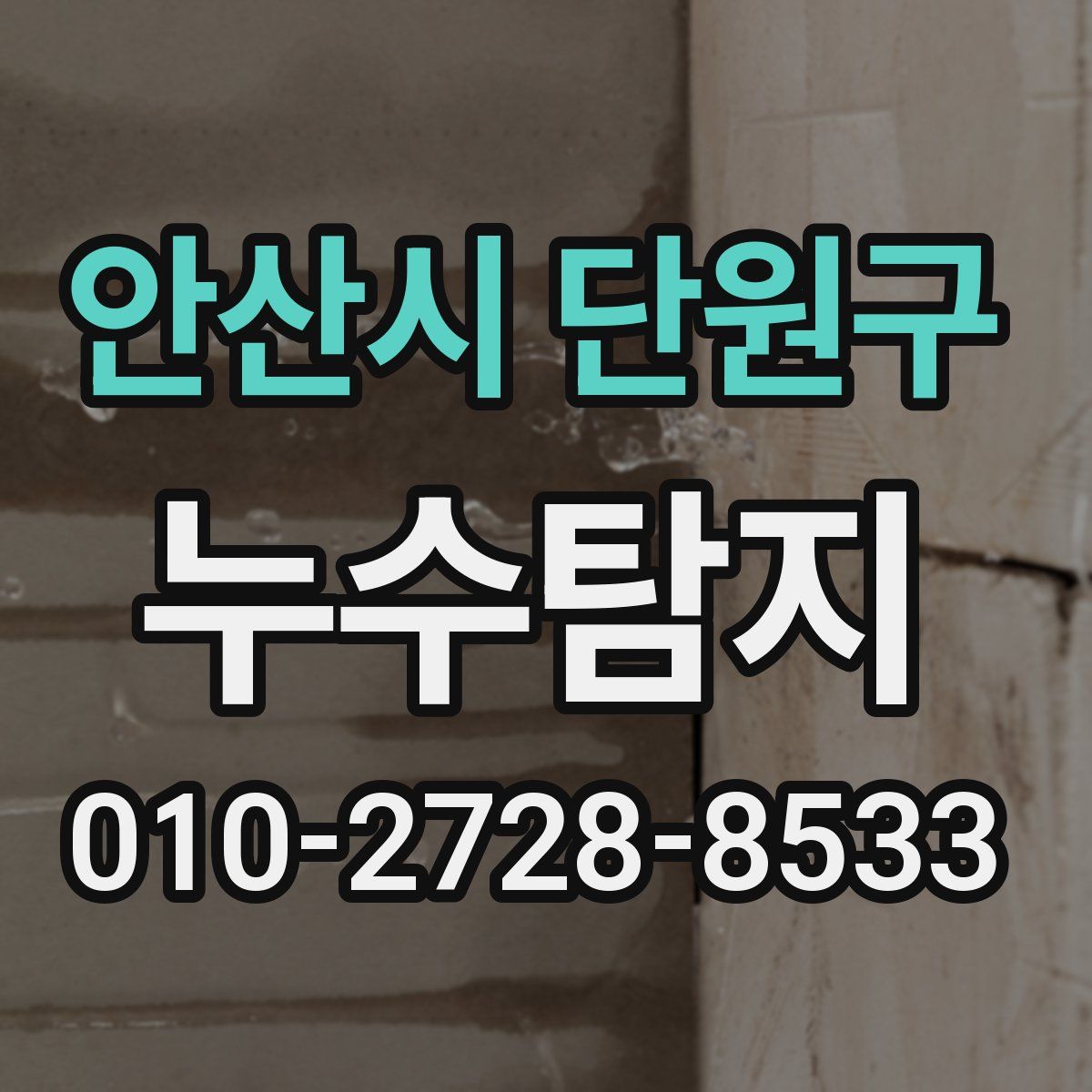 안산시 단원구 누수탐지