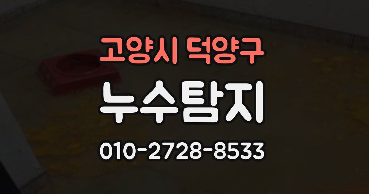 고양시 덕양구 누수공사
