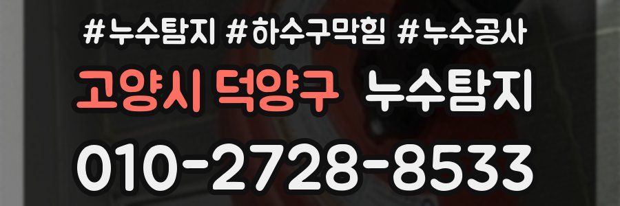 고양시 덕양구 누수탐지업체