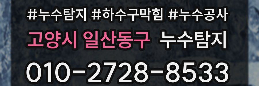 고양시 일산동구 누수탐지업체