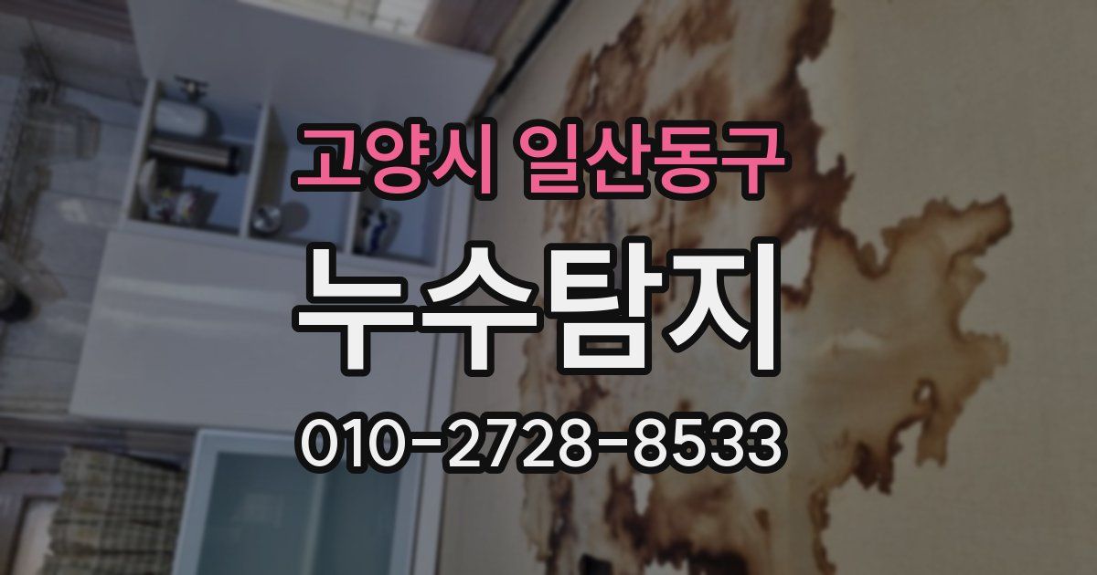 고양시 일산동구 누수공사