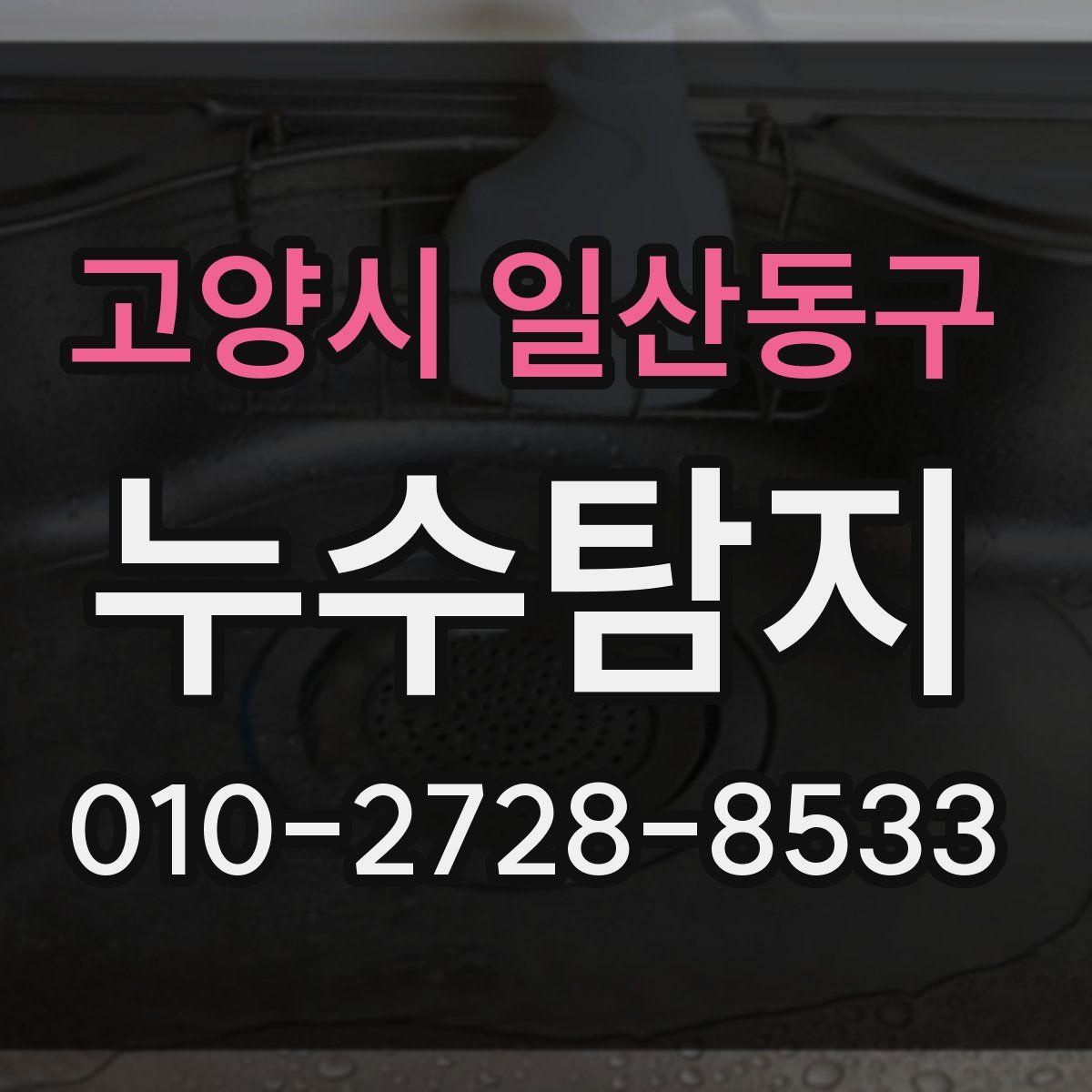 고양시 일산동구 누수탐지