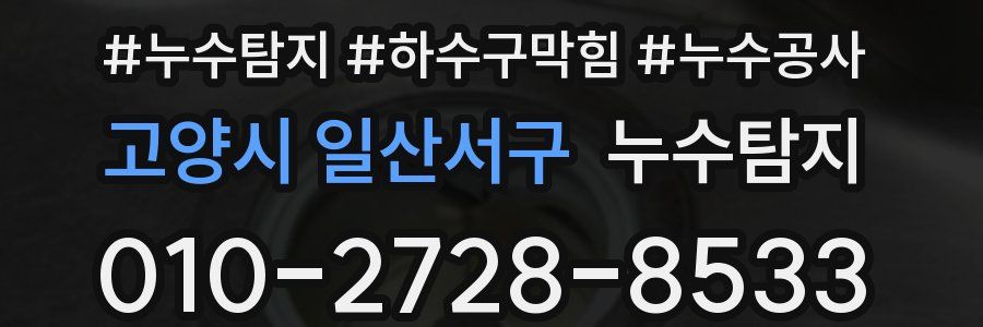 고양시 일산서구 누수탐지업체