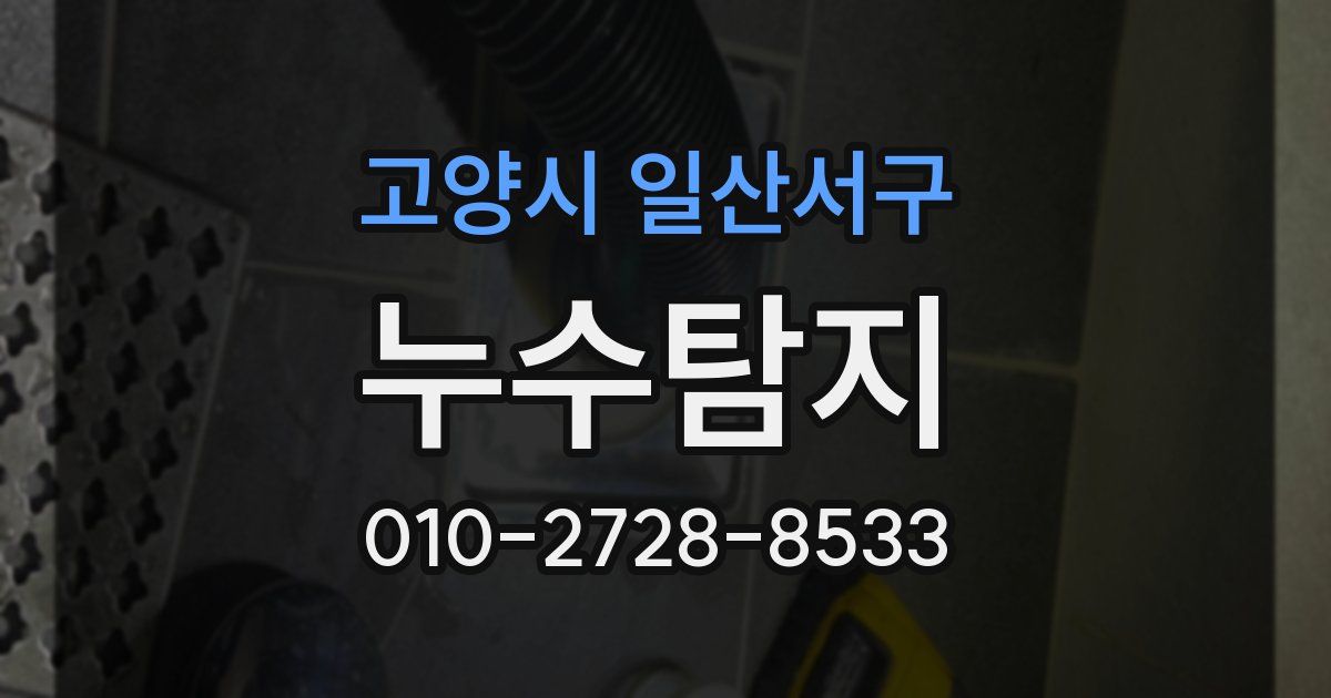 고양시 일산서구 누수공사