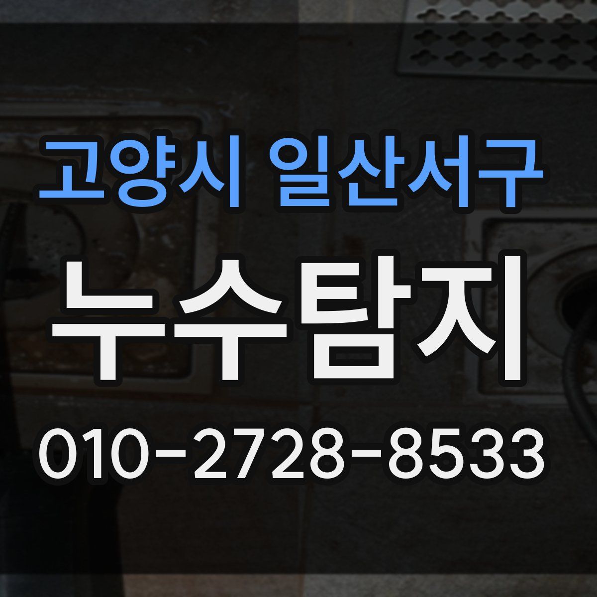 고양시 일산서구 누수탐지
