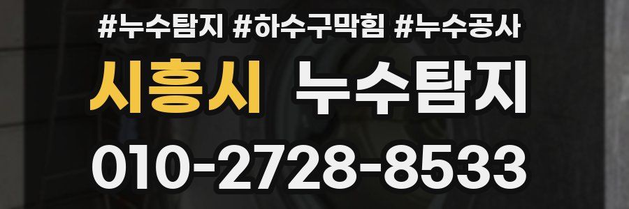 시흥시 누수탐지업체