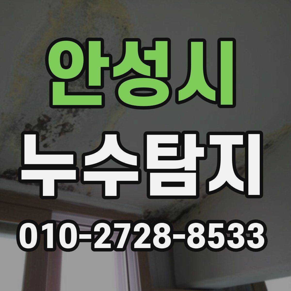 안성시 누수탐지