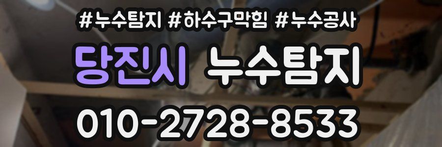 당진시 누수탐지업체
