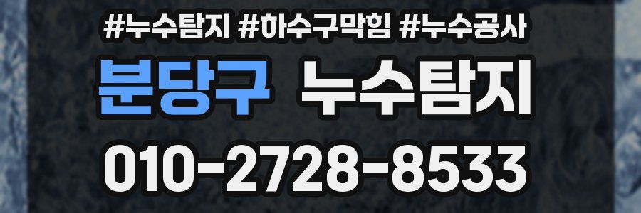 분당구 누수탐지업체