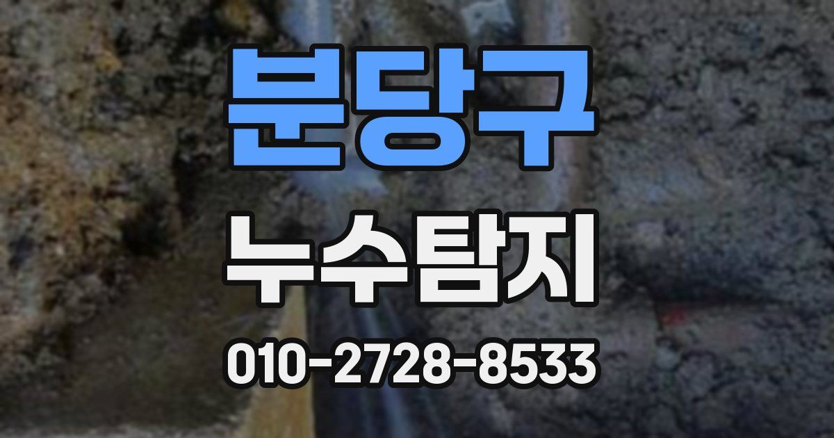 분당구 누수공사