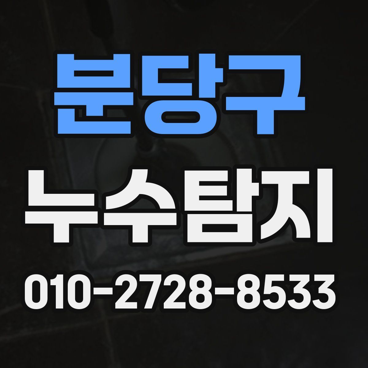분당구 누수탐지