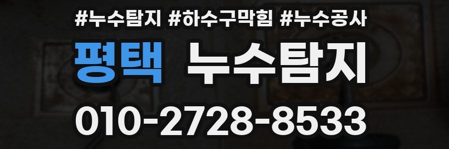 평택 누수탐지업체