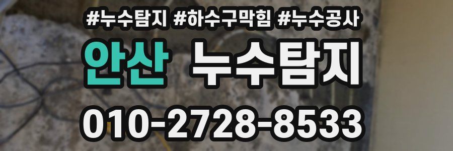 안산 누수탐지업체