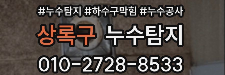 상록구 누수탐지업체