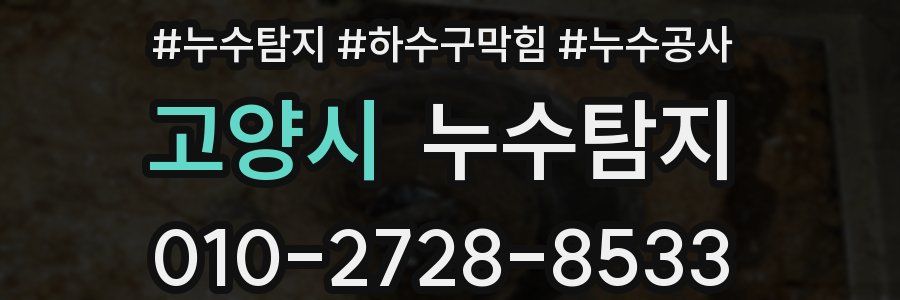 고양시 누수탐지업체